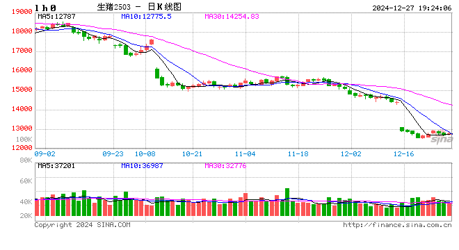 生猪现货日报|全国均价15.81元/公斤 连涨后养殖端卖猪情绪增强 屠企收猪压力缓解